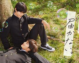 泛页面关键词0631