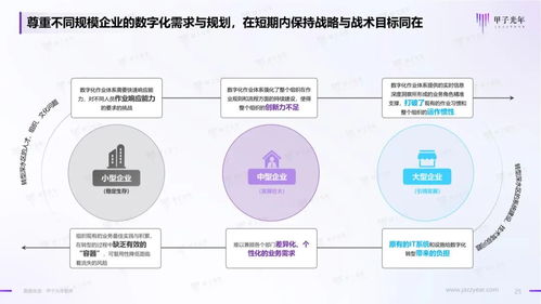 2023年中國企業(yè)低代碼與無代碼產(chǎn)品應用與實踐研究 計算機系統(tǒng)服務的轉(zhuǎn)型與機遇